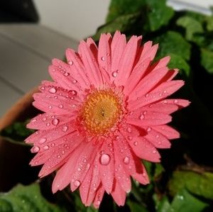 Meet your Posher, Eileen